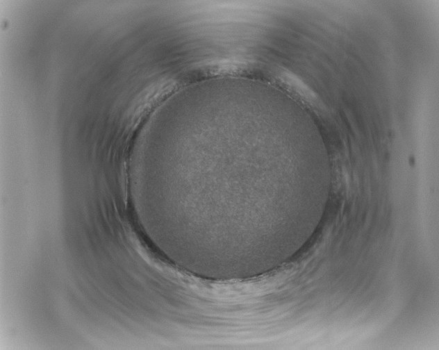 X0000070410022200606161423