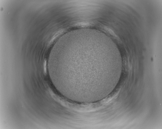 X0000070410024200606161423