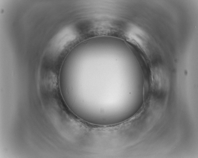 X0000070410025200606161423