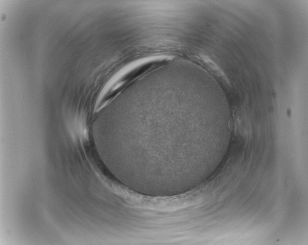 X0000070410026200606161423