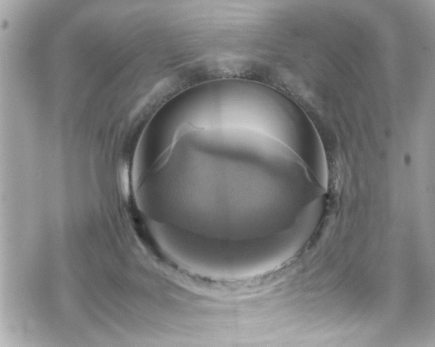 X0000070410027200606161423