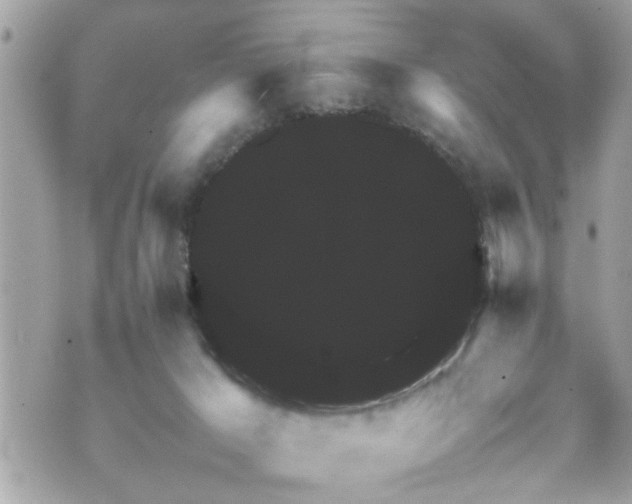 X0000070410029200606161423