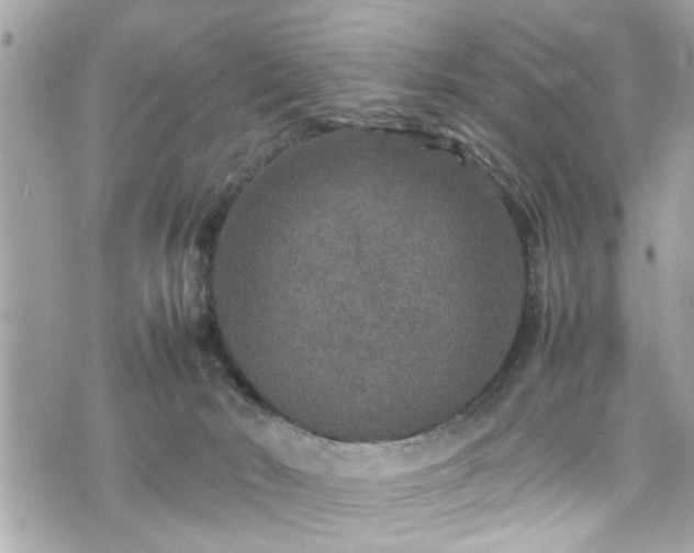 X0000070410030200606161423