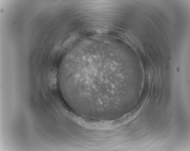 X0000070410032200606161423