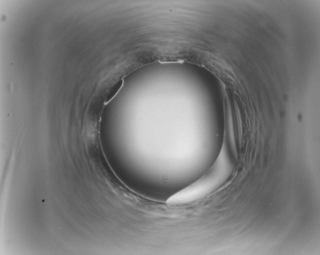 X0000070410033200606161423