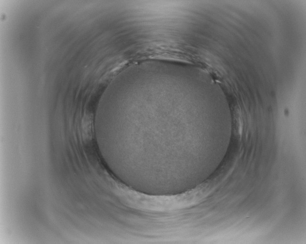 X0000070410034200606161422