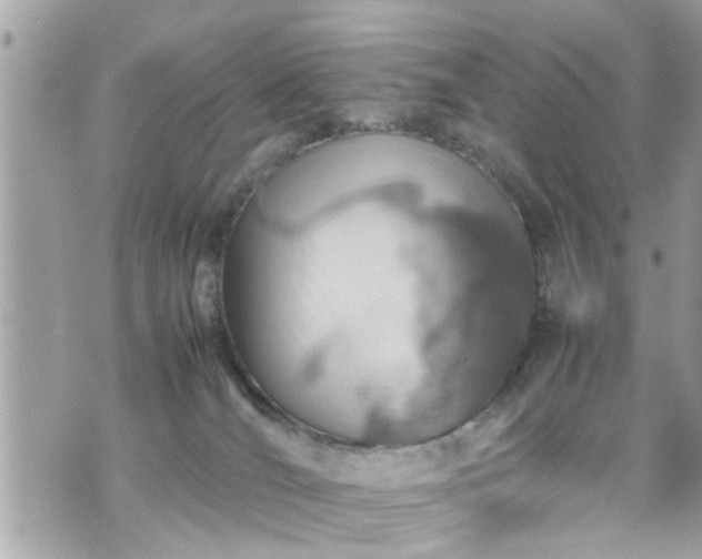 X0000070410036200606161422