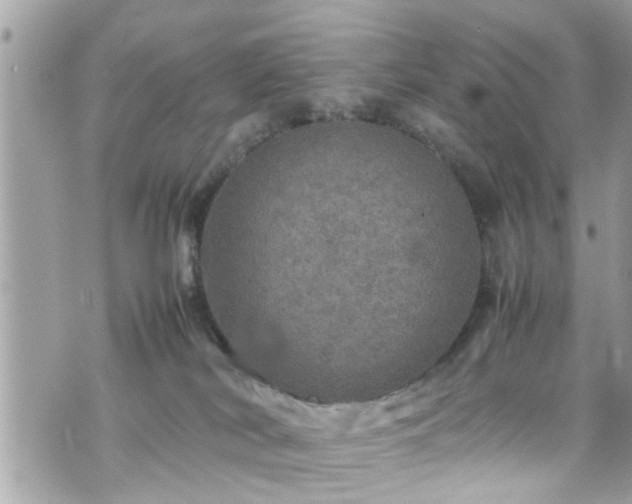 X0000070410038200606161422