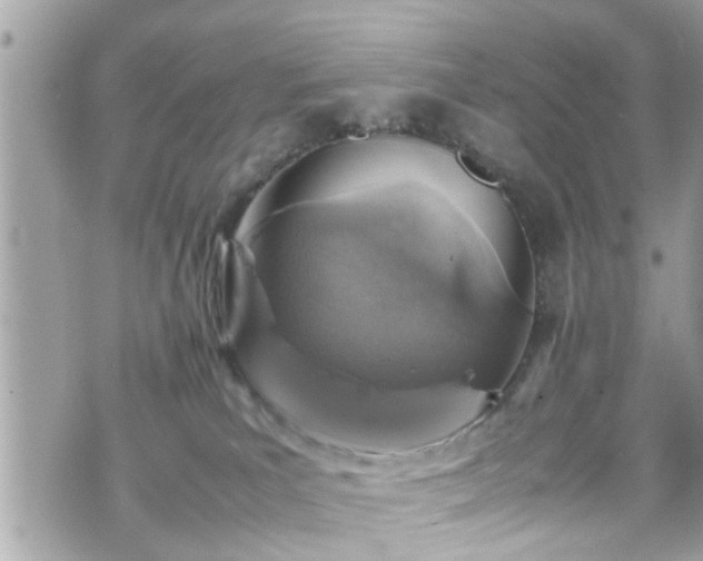 X0000070410039200606161422