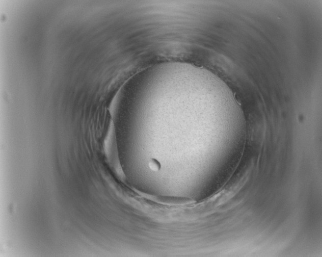 X0000070410040200606161422