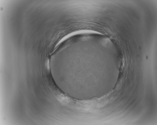 X0000070410041200606161422