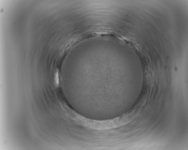 X0000070410042200606161422