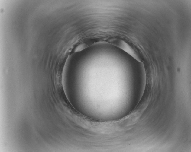 X0000070410044200606161422