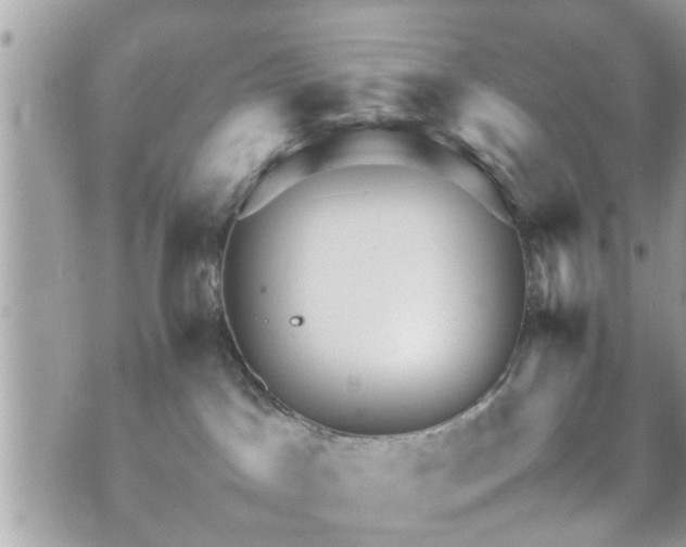 X0000070410045200606161422