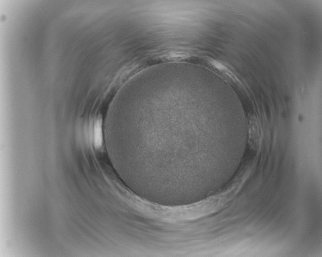 X0000070410046200606161422