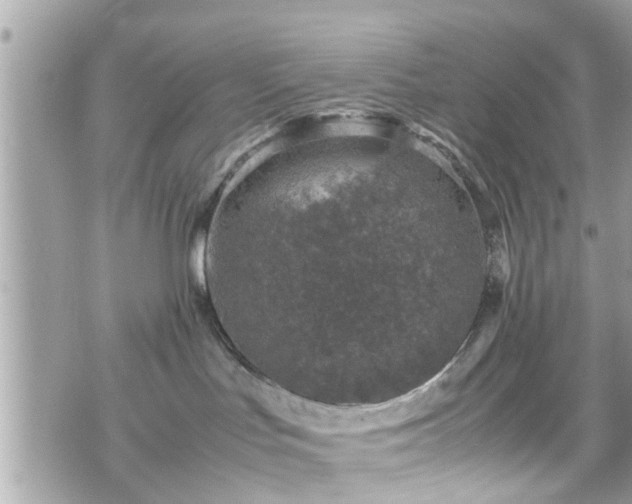 X0000070410047200606161422