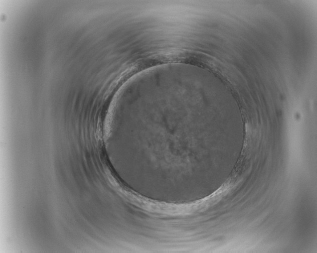 X0000070410048200606161422