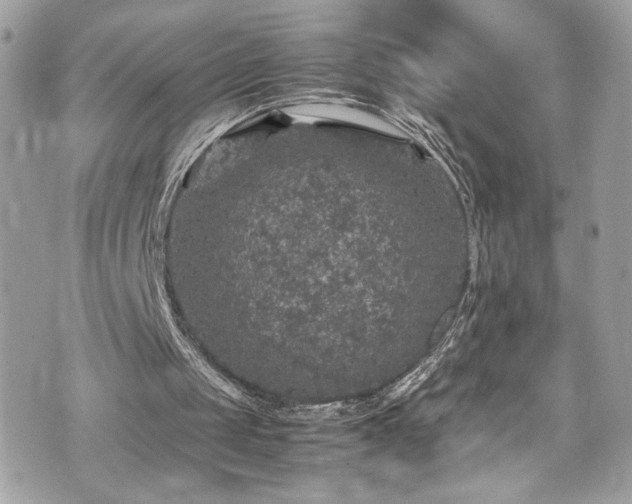 X0000070410049200606161421