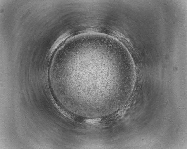 X0000070410051200606161422