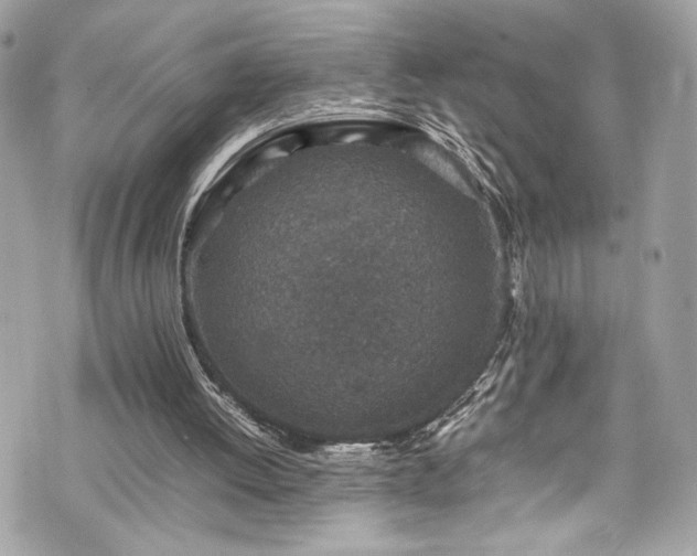 X0000070410052200606161422