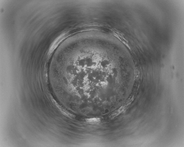 X0000070410053200606161422