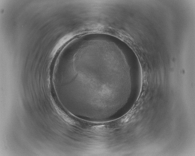 X0000070410054200606161422