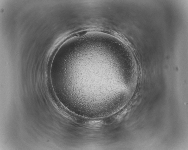 X0000070410055200606161422