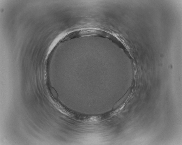 X0000070410056200606161422