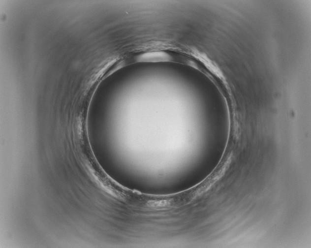 X0000070410057200606161422