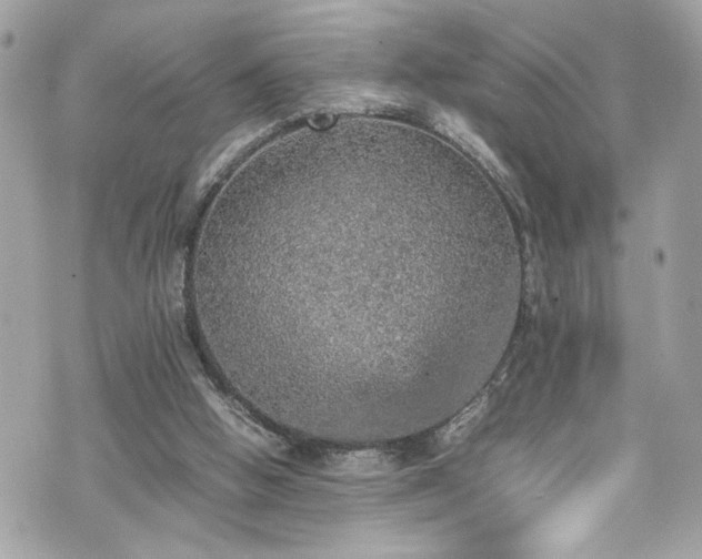 X0000070410058200606161422