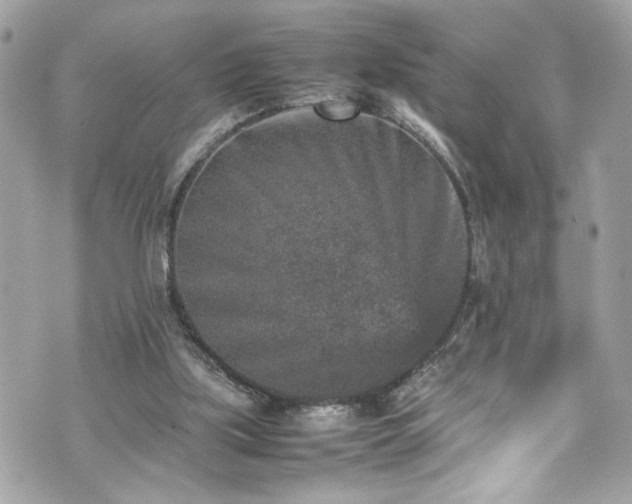 X0000070410059200606161422