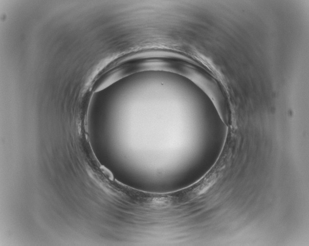 X0000070410060200606161422