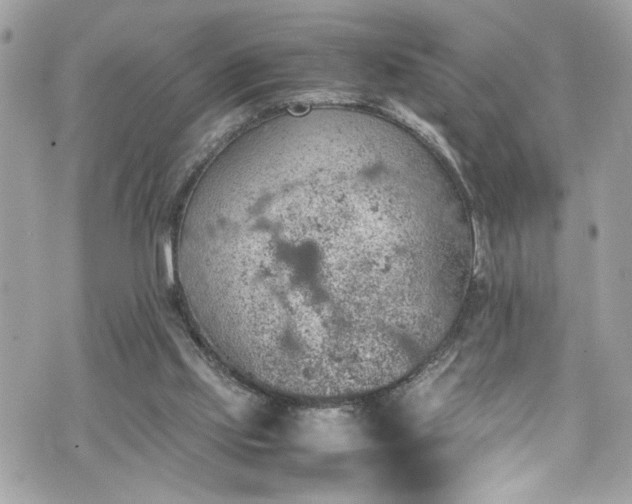 X0000070410061200606161422