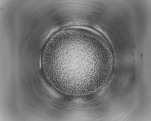 X0000070410062200606161422