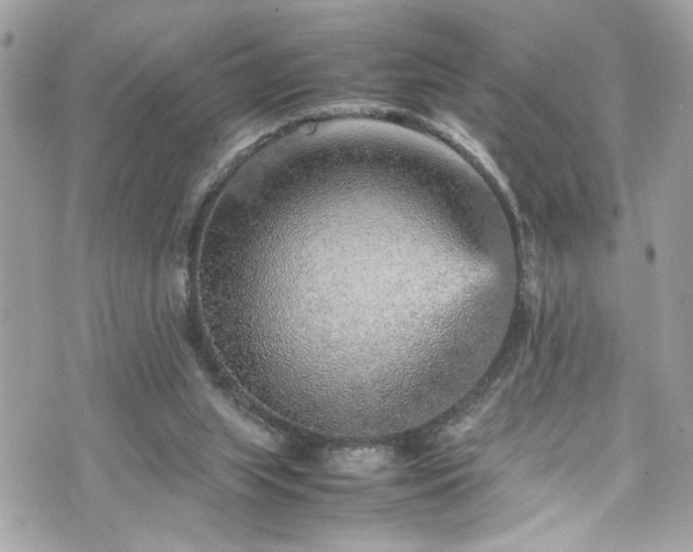 X0000070410063200606161422