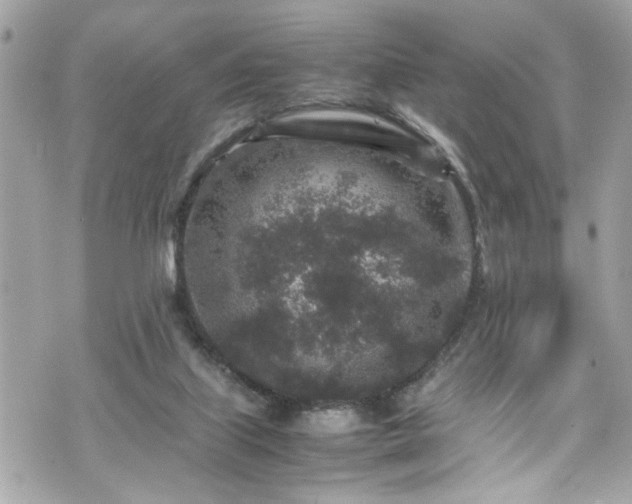 X0000070410067200606161422