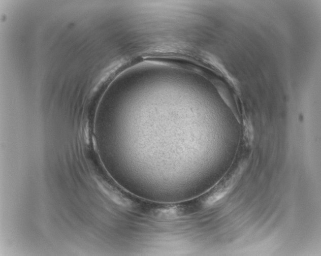 X0000070410068200606161422