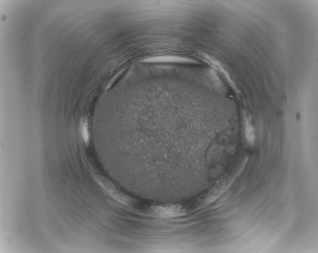 X0000070410069200606161422