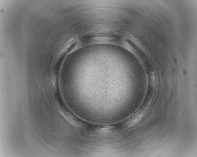 X0000070410072200606161422