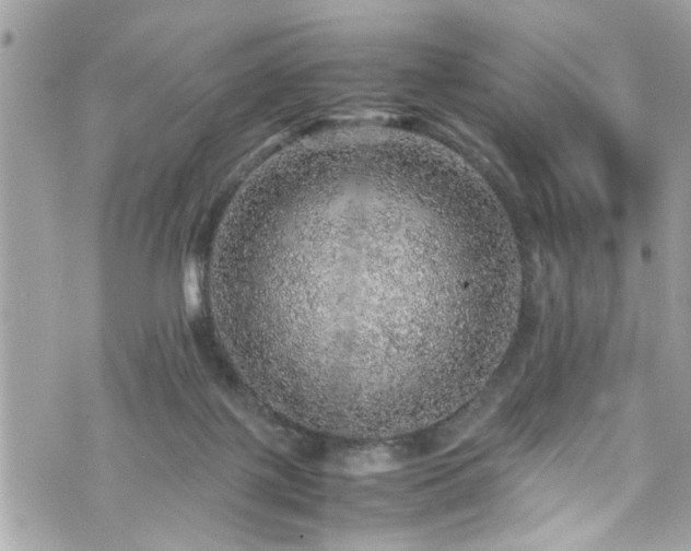 X0000070410075200606161422