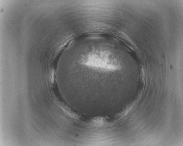 X0000070410076200606161422