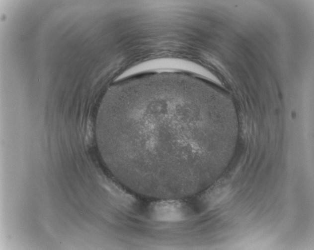 X0000070410077200606161422