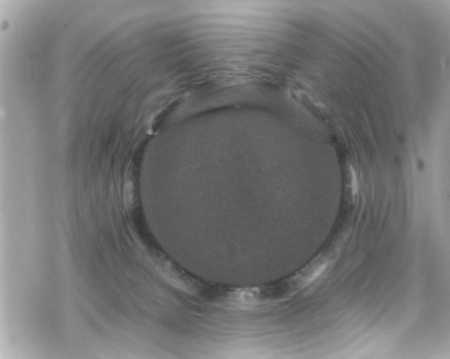 X0000070410080200606161422