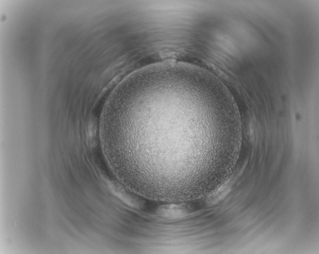 X0000070410082200606161422