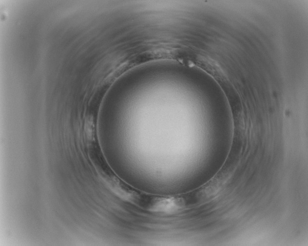 X0000070410083200606161422