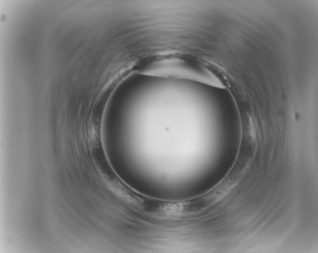 X0000070410084200606161422