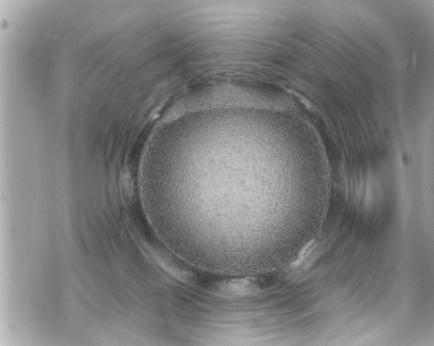 X0000070410086200606161422