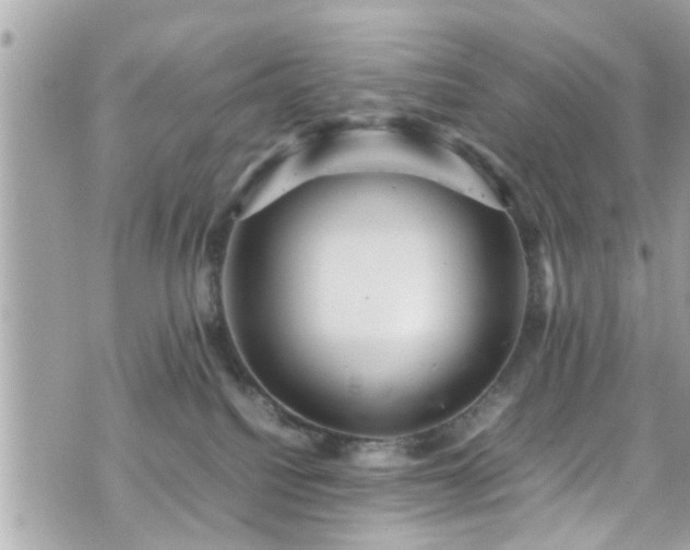 X0000070410088200606161422