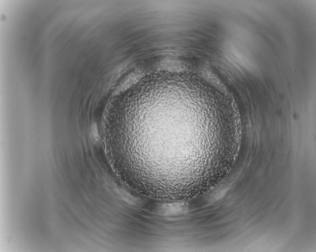 X0000070410089200606161422