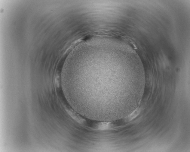 X0000070410090200606161422